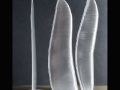 WINGS2